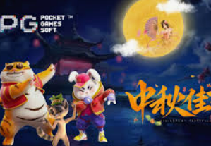 星空综合app2024最新版