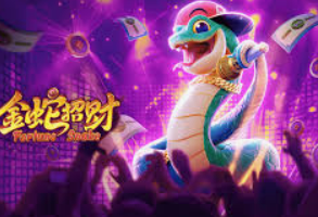 星空综合app客户端