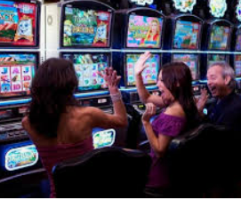 星空综合app客户端