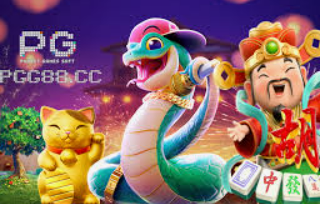 星空综合app电脑免费版