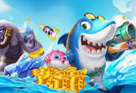 星空综合app2024最新版