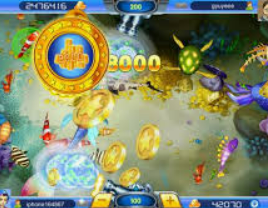 星空综合app电脑免费版