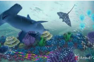 星空综合app客户端