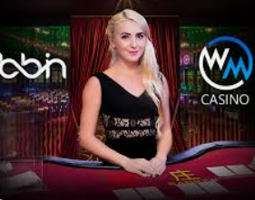 星空综合app正式版