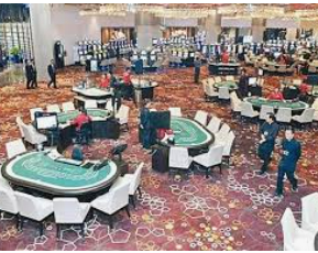 星空综合app最新版