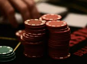 星空综合app电脑免费版