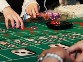 星空综合app正式版